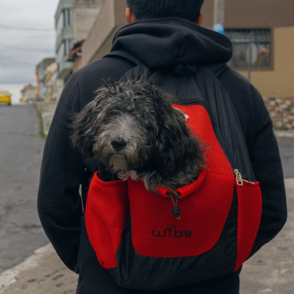 Mochilas Mascotas